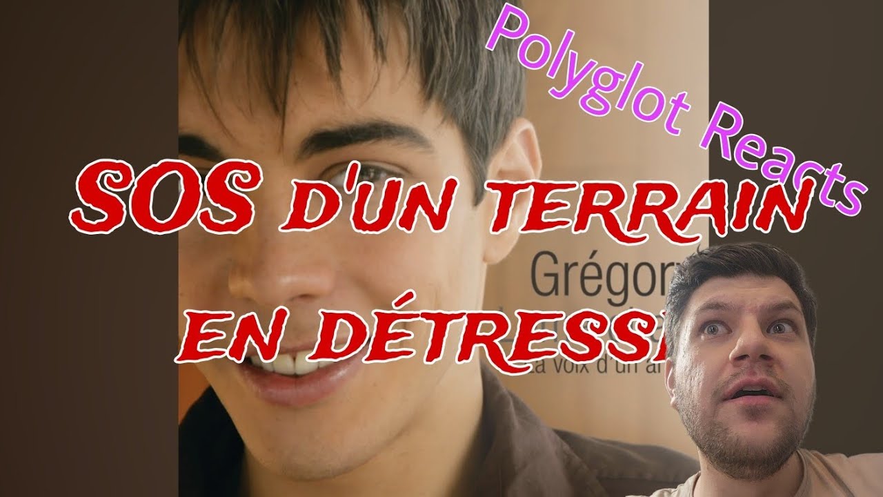 POLYGLOT REACTS to Grégory Lemarchal's 
