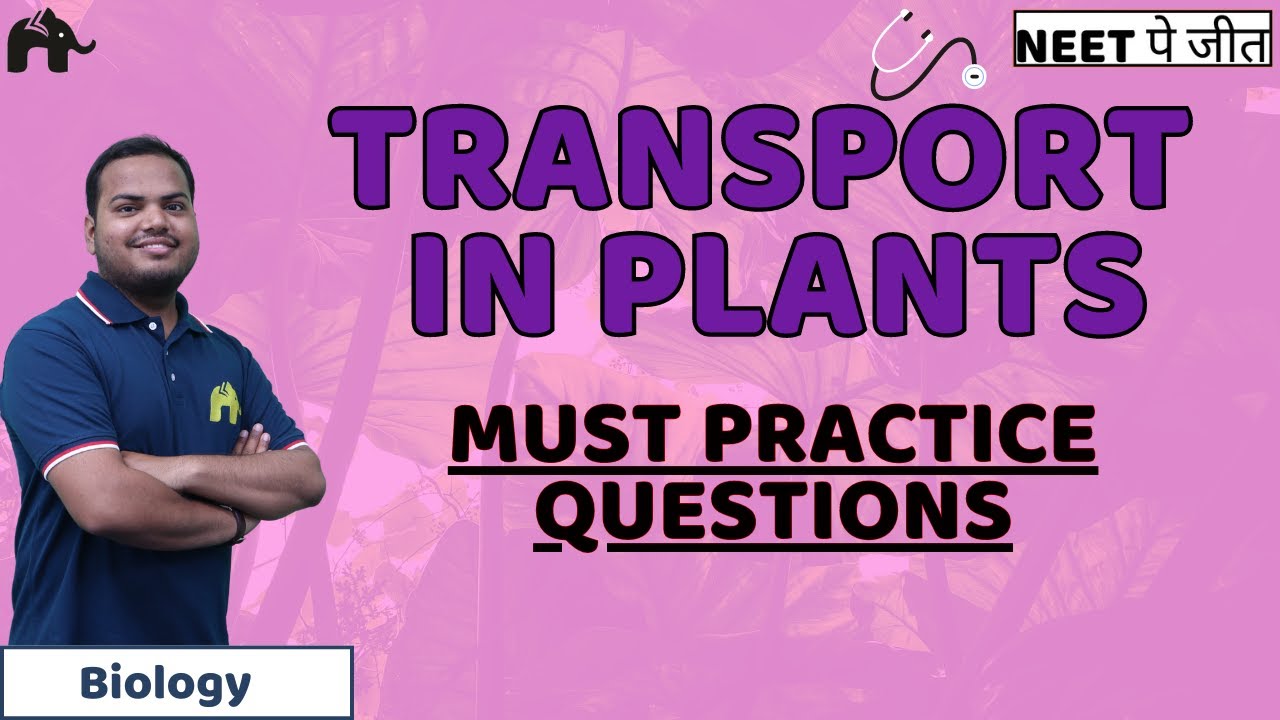 Transport in plants Class 11 NEET Must Practice Bio Questions | Biology