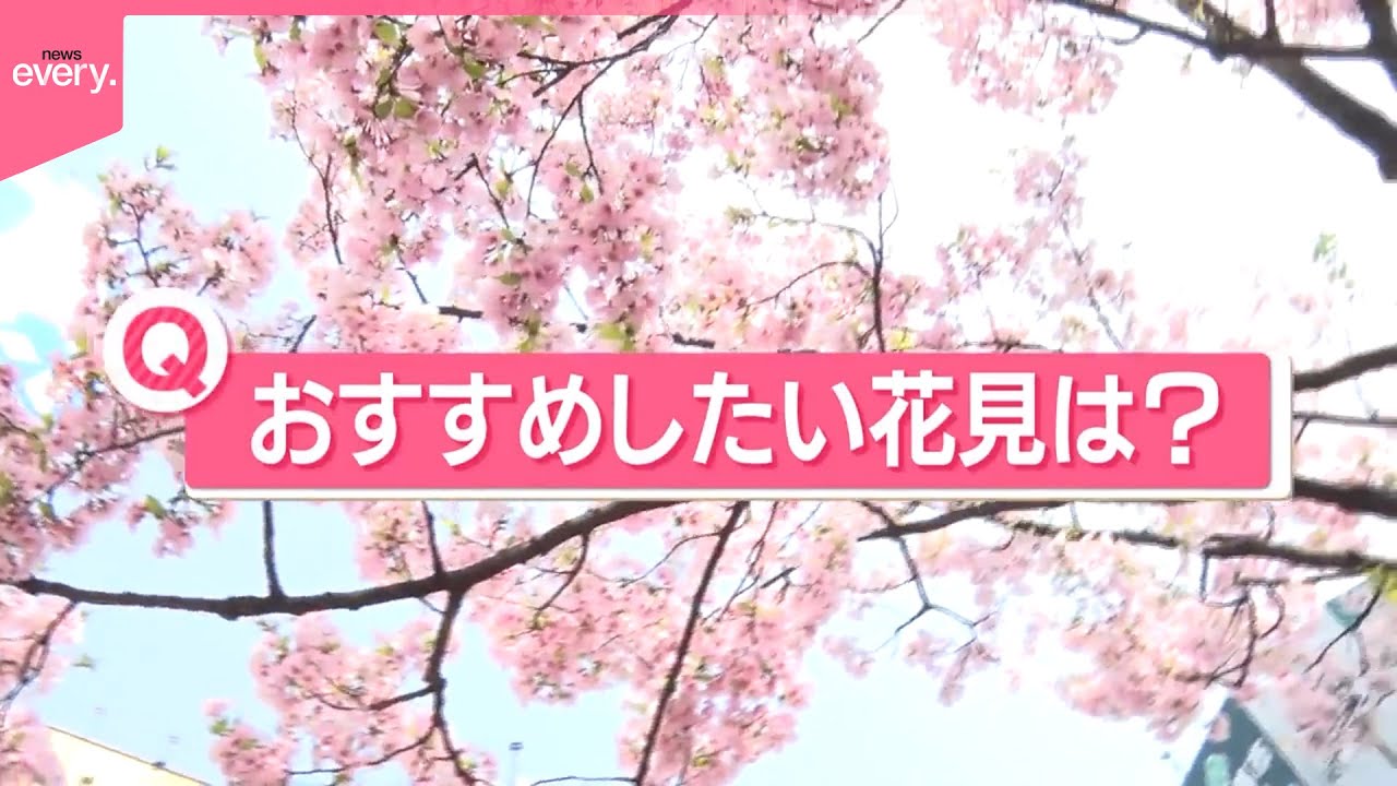 【きょうの1日】おすすめしたい“花見”は？  東京は週末に桜満開予想