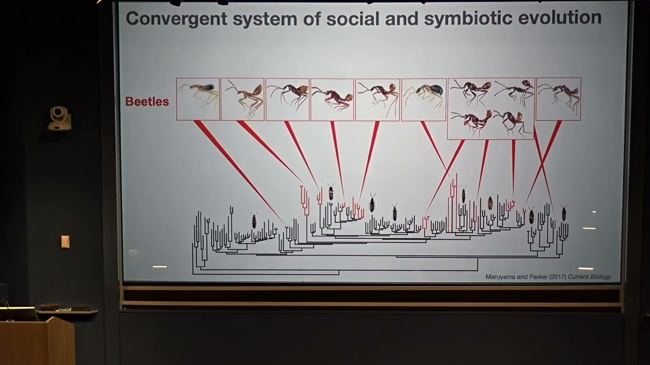 Joseph Parker - Retracing the Evolutionary Steps Toward Symbiosis (October 18, 2023)