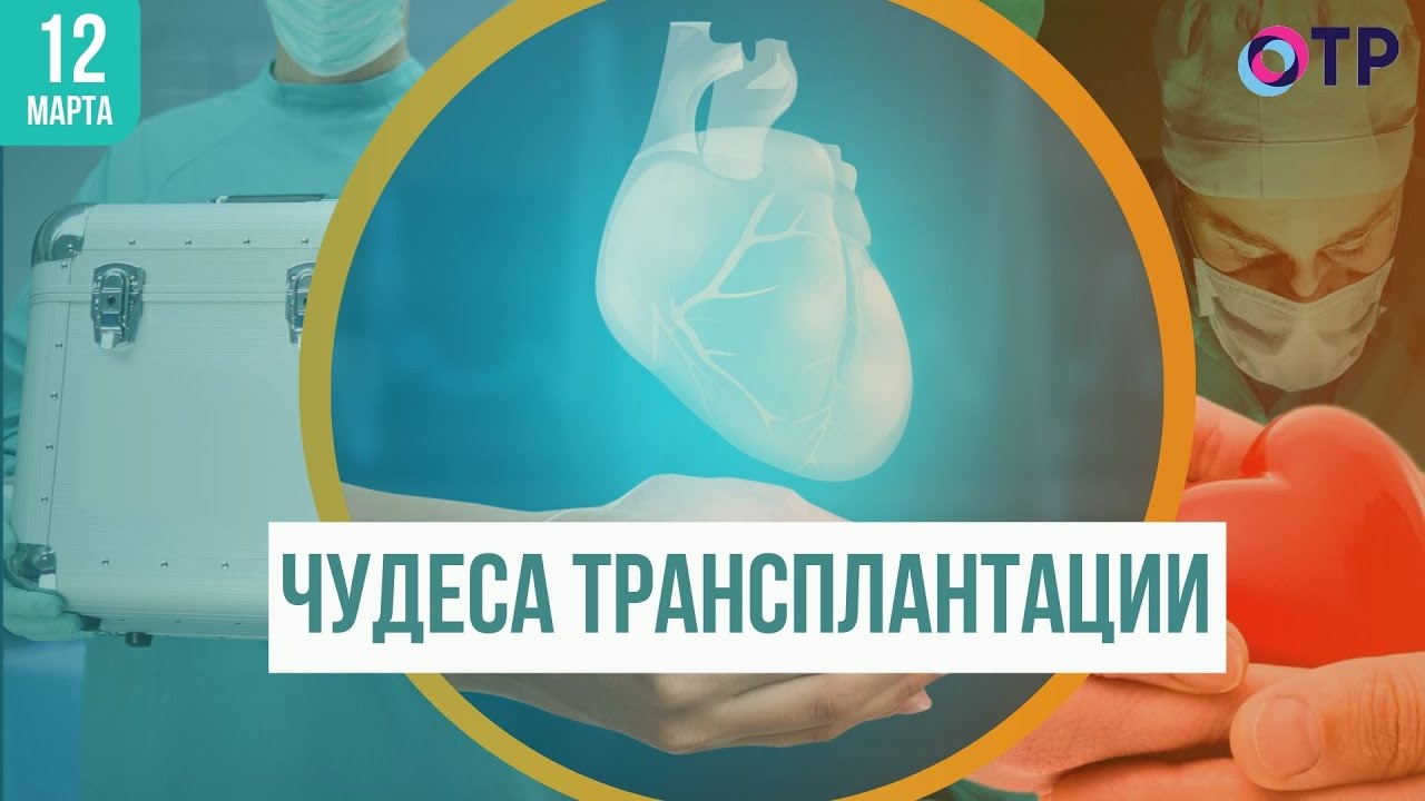 История трансплантации