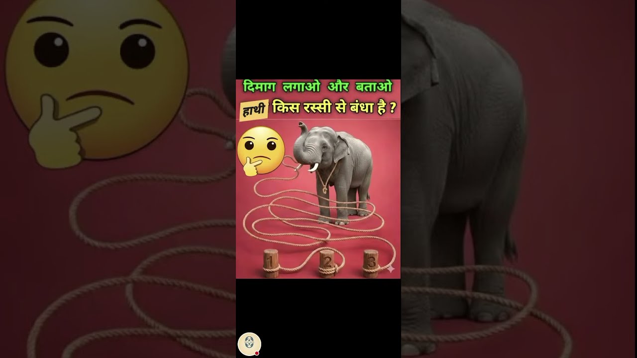 challenge for you