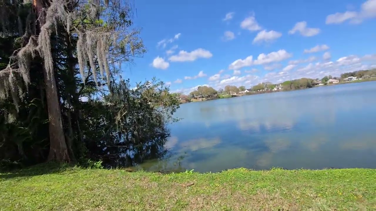 Black lake 5