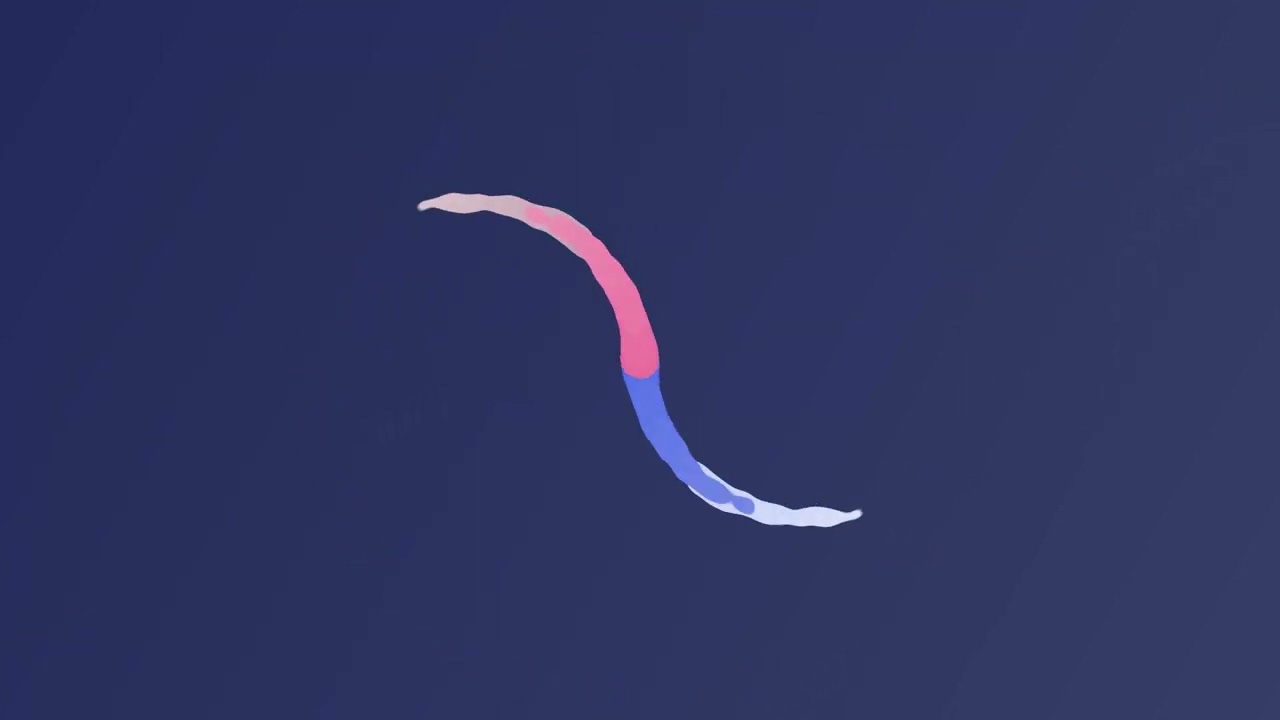 Liquid Logo Reveal | After effects
