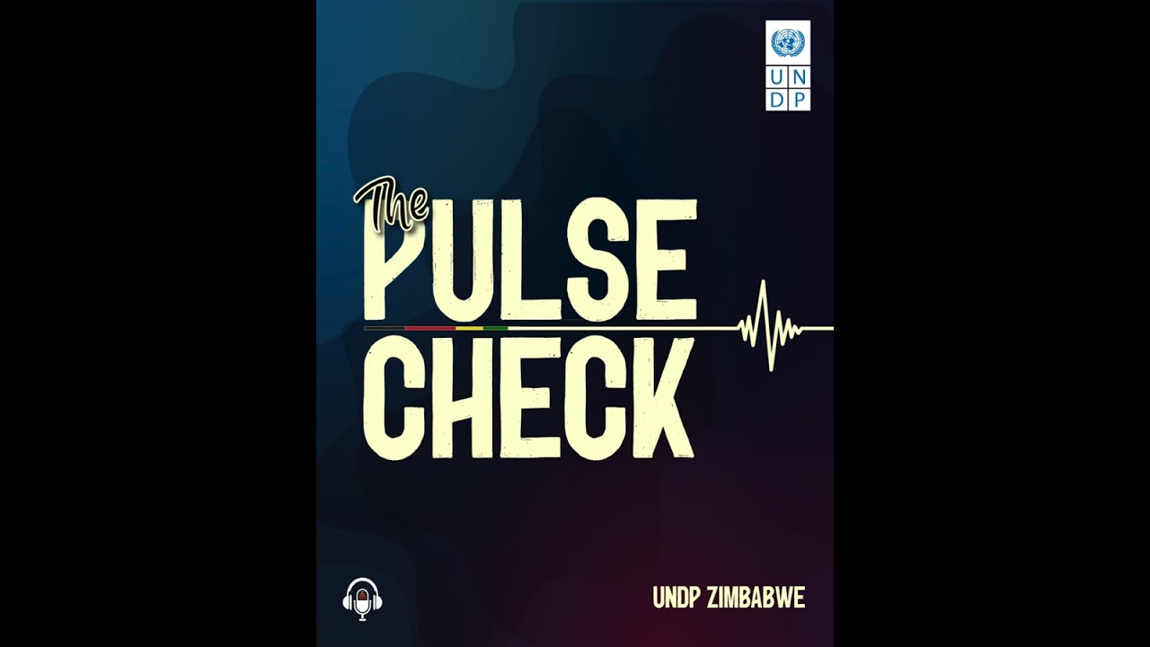 Equity and Reform in Action: A Reflection of Zimbabwe’s UNDP and Global Fund Partnership