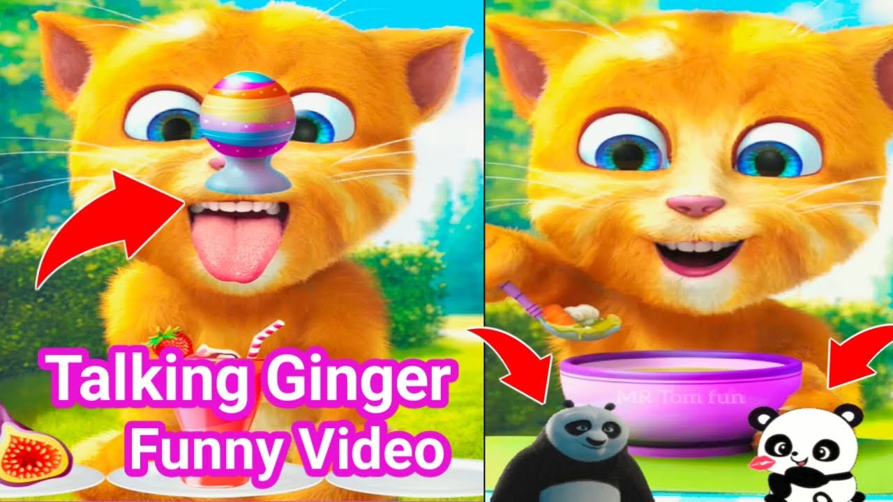 talking ginger funny videos || 🤣😜🤓🤠