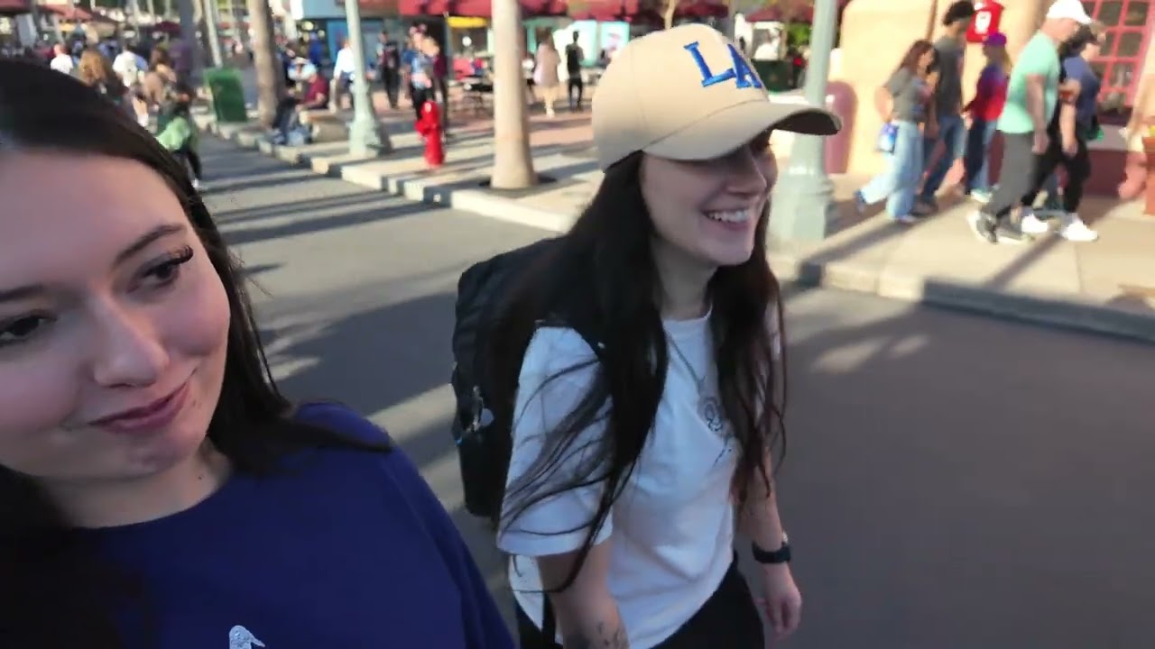 Hollywood studios + Epcot (full Epcot firework show at end)