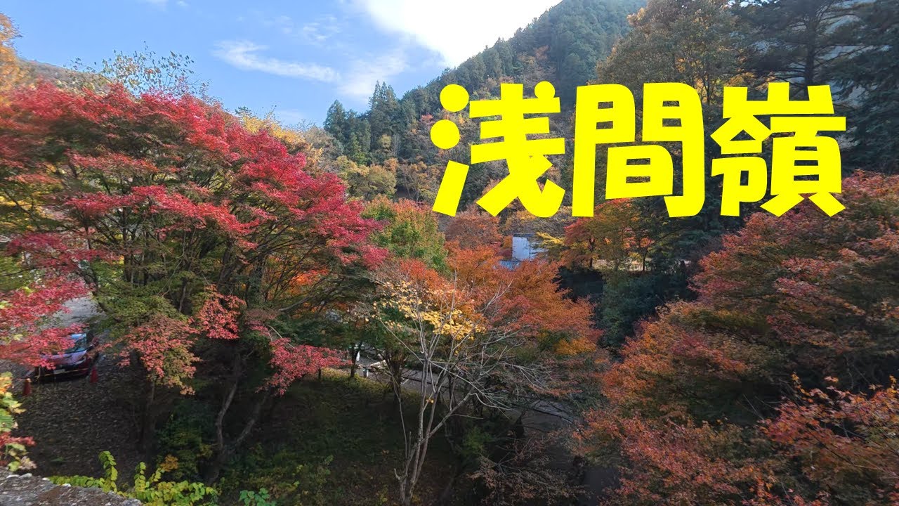 【ぴんきり低山巡り】 紅葉末期？　浅間尾根登山口から浅間嶺　2025/11/15