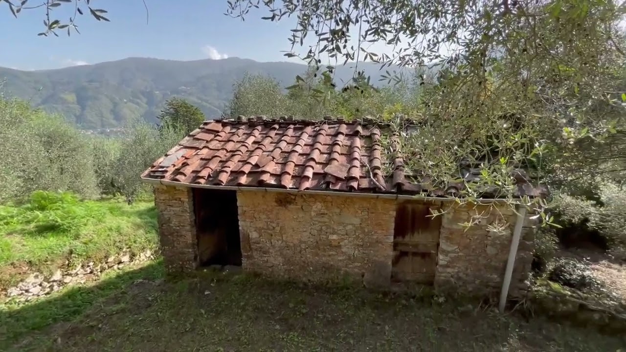 IL CERRO - Fabbricato Rustico uso stalla/fienile in Vendita in Toscana con oliveto