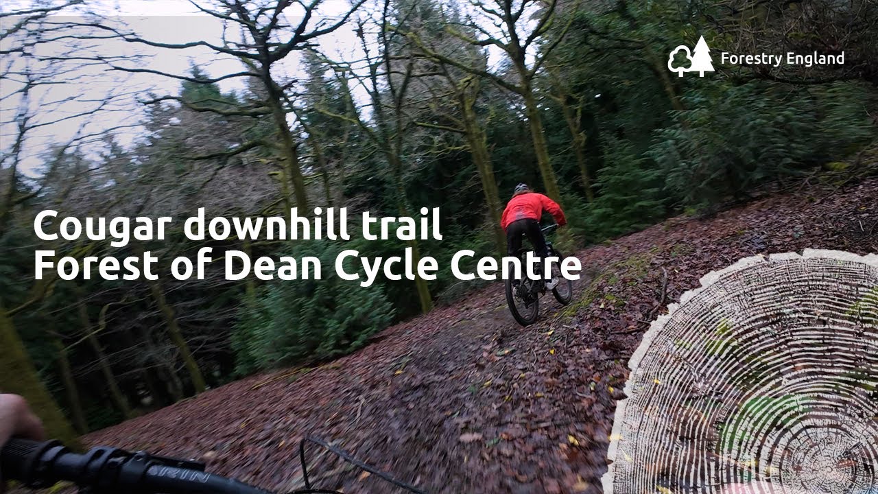 Cougar | double black downhill mountain bike double trail PoV | Forest of Dean cycle centre cycle