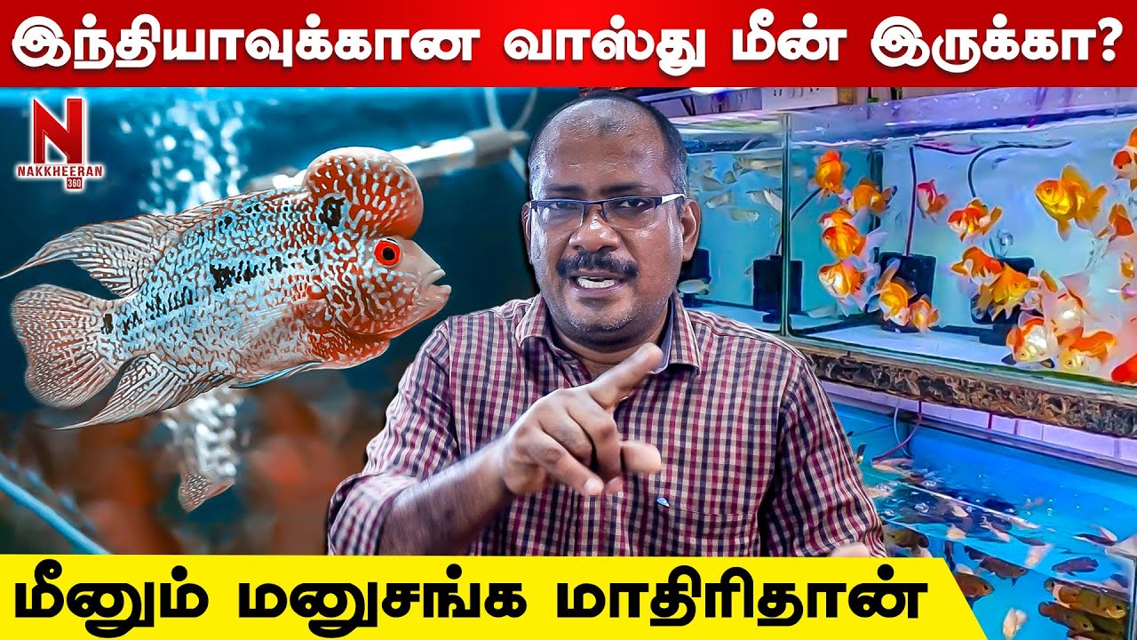 மீன் வாங்குவதற்கு முன் செய்யவேண்டியவை... Flowerhorn Fish | Fish Doctor India | Fish Farm | N 360