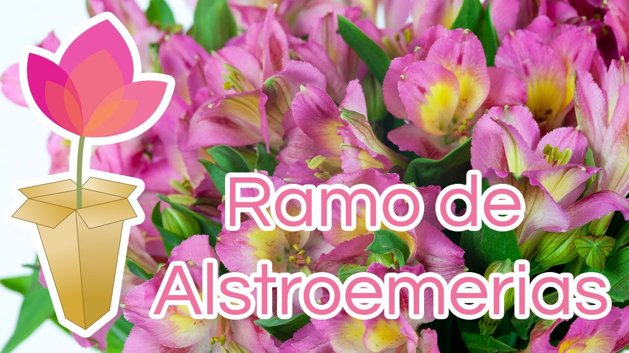 Cómo hacer un ramo de alstroemeria
