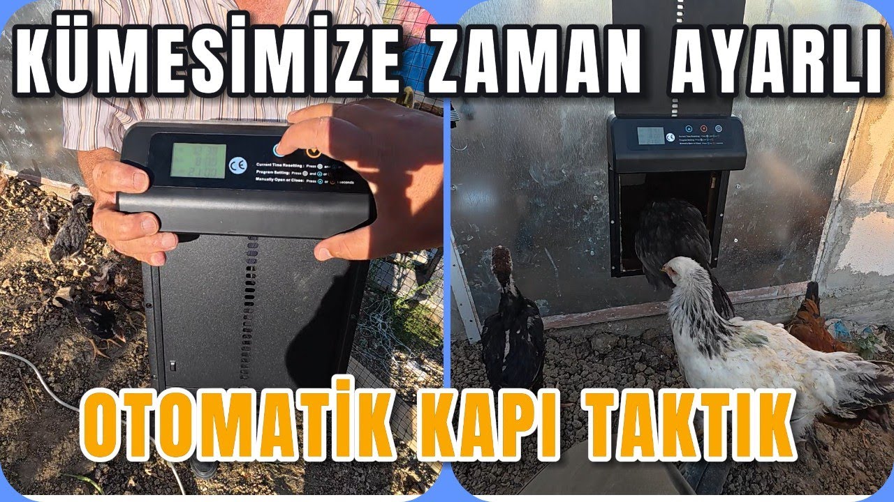 Kümesimize Zaman Ayarlı Otomatik Kapı Taktık - Kümes Kapısı Açıp Kapatmaya Son