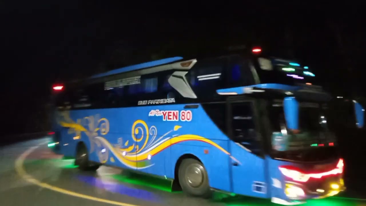 Hunting bus pariwisata baik rasa kids panda QQ trans Andara bus artis telolet Basuri 