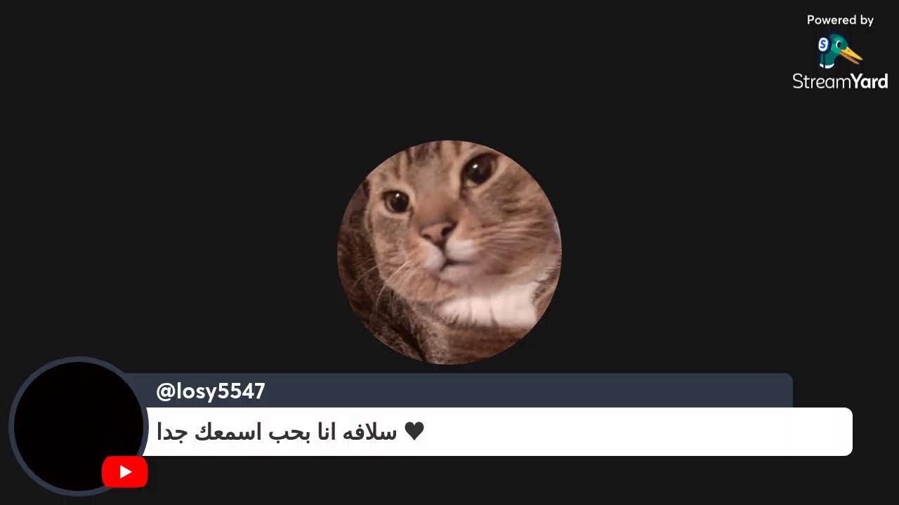 لكل داء دواء يُستطب به، إلا الحماقة أعيت من يداويها