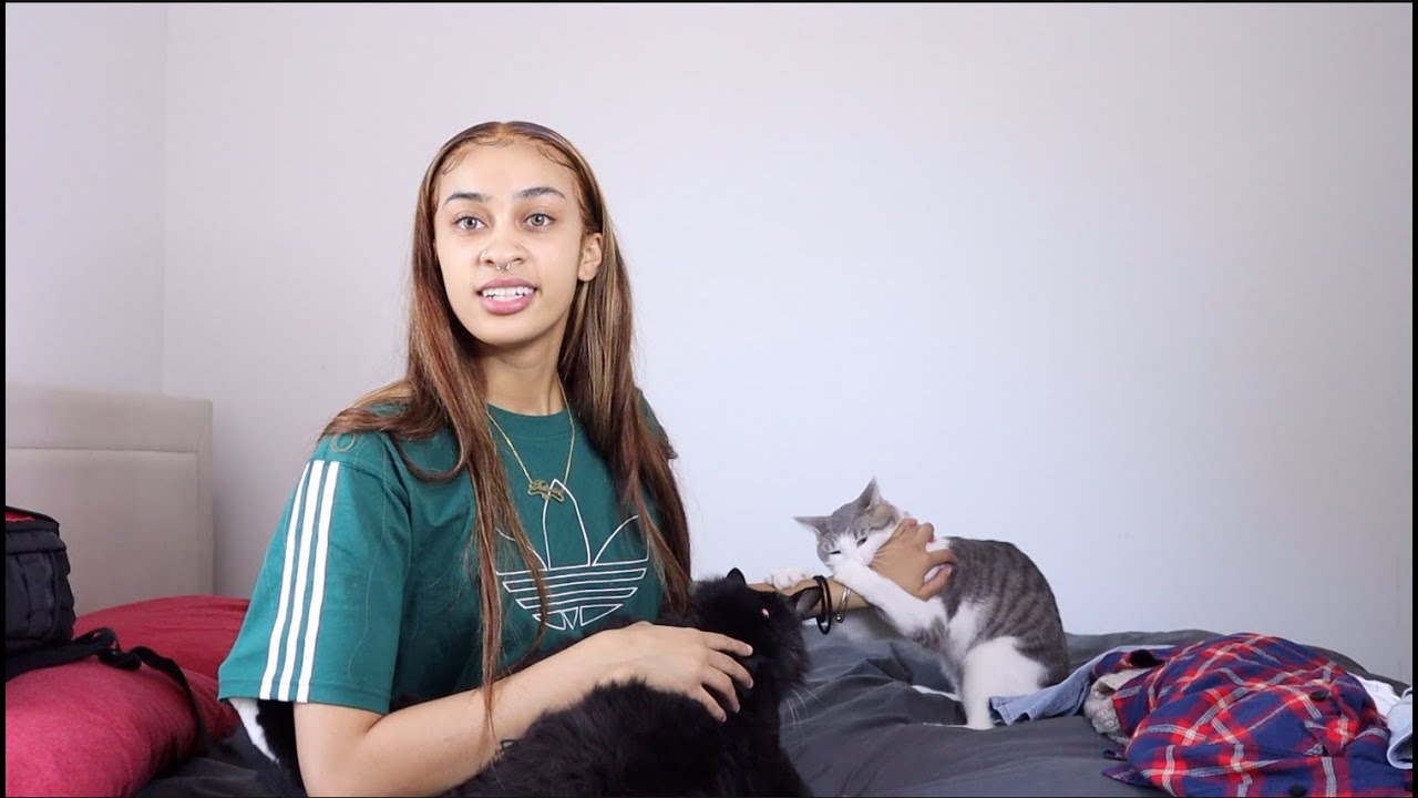 ATTEMPTING TO SEW CLOTHES FOR MY CATS