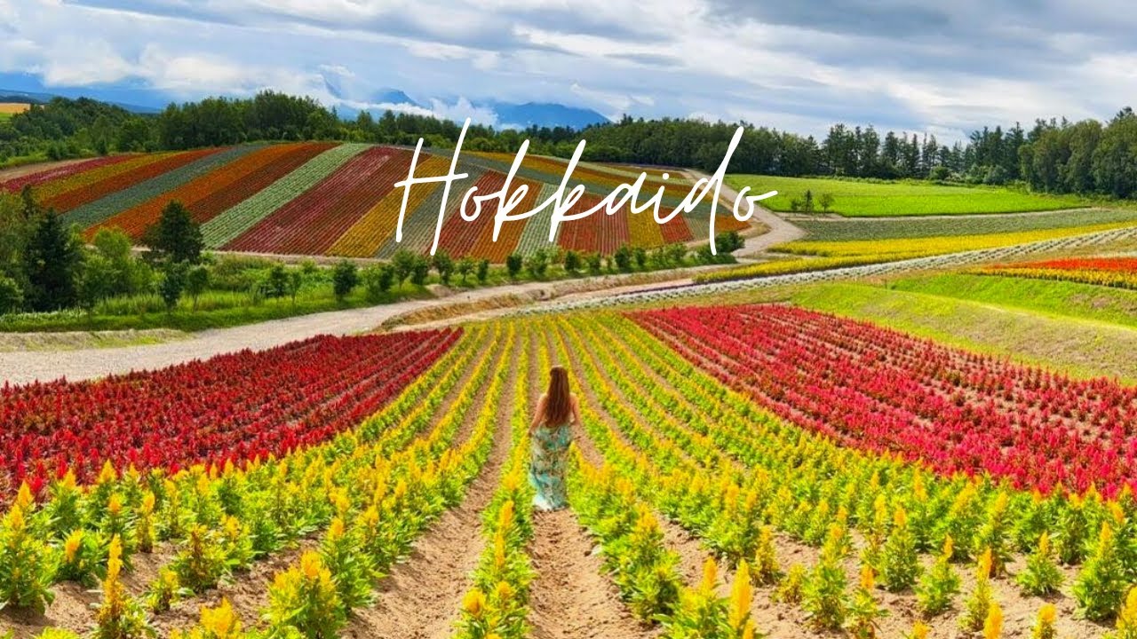 Japan : Summer in HOKKAIDO