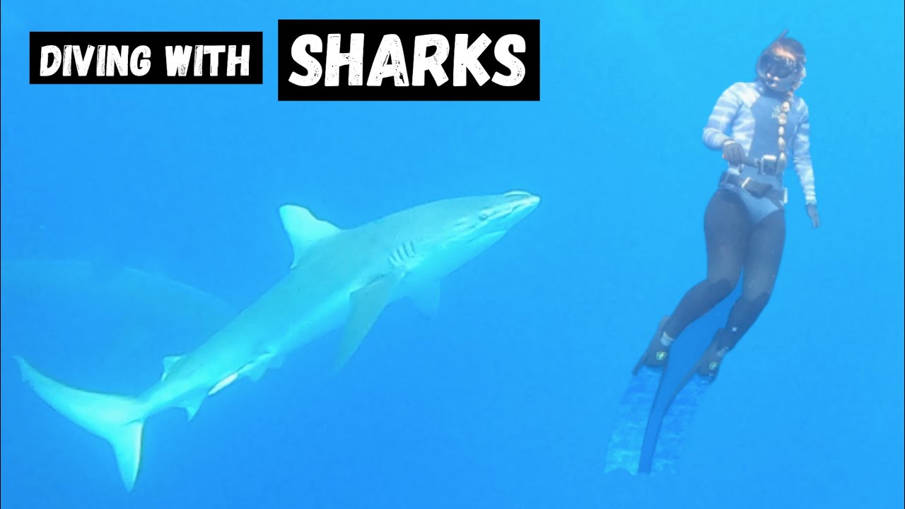 Swimming with SHARKS in HAWAII (No Cage) - Was it worth It?