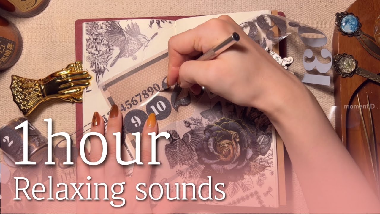 ✨ASMR for sleep✨ 수면용, 작업용, 공부용 영상 다꾸 모음 편안한 소리 32 relaxing sounds #papertherapy #scrapbooking