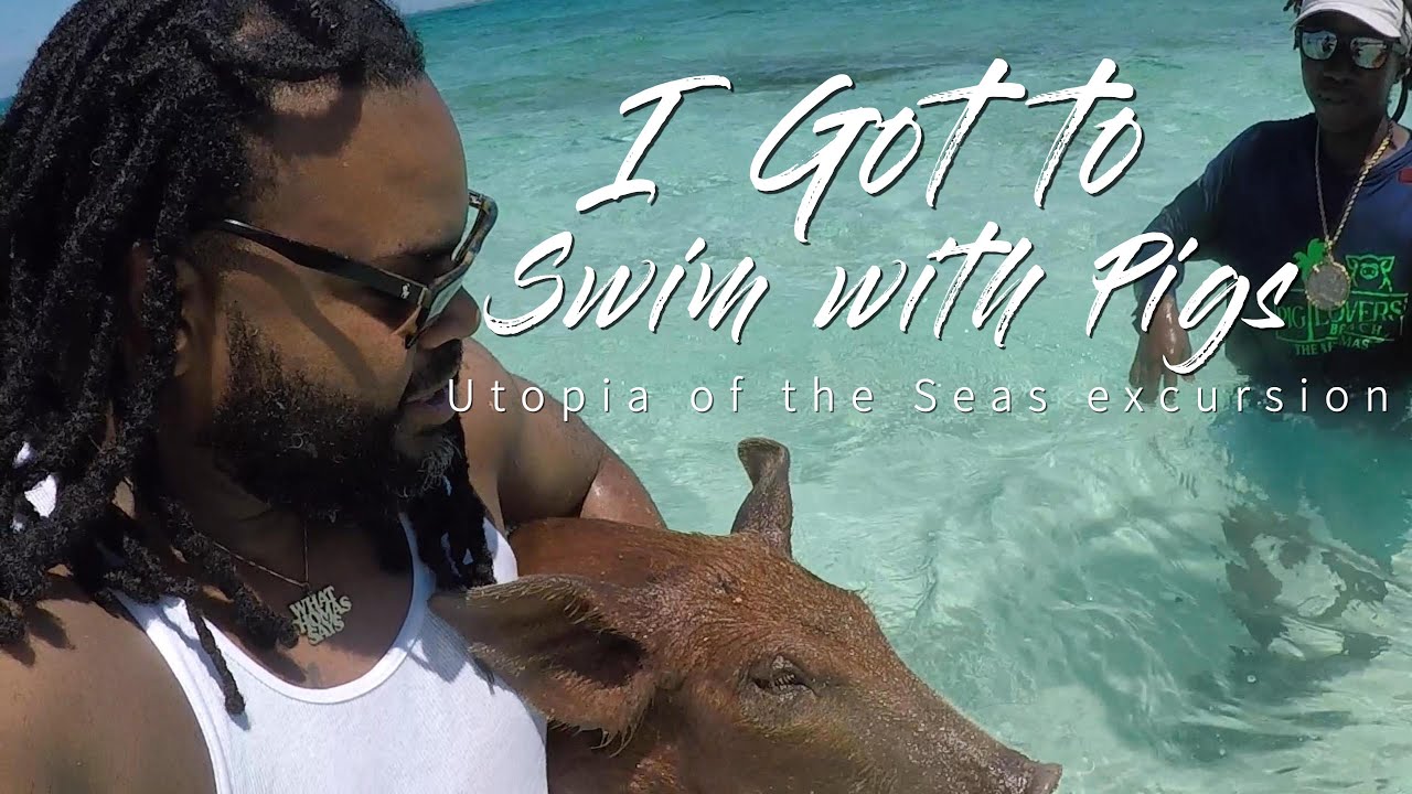 pig beach Nassau Bahamas utopia of the seas excursion
