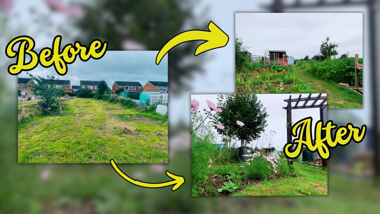 Incredible 1 Year Allotment Transformation | Watch the Journey!