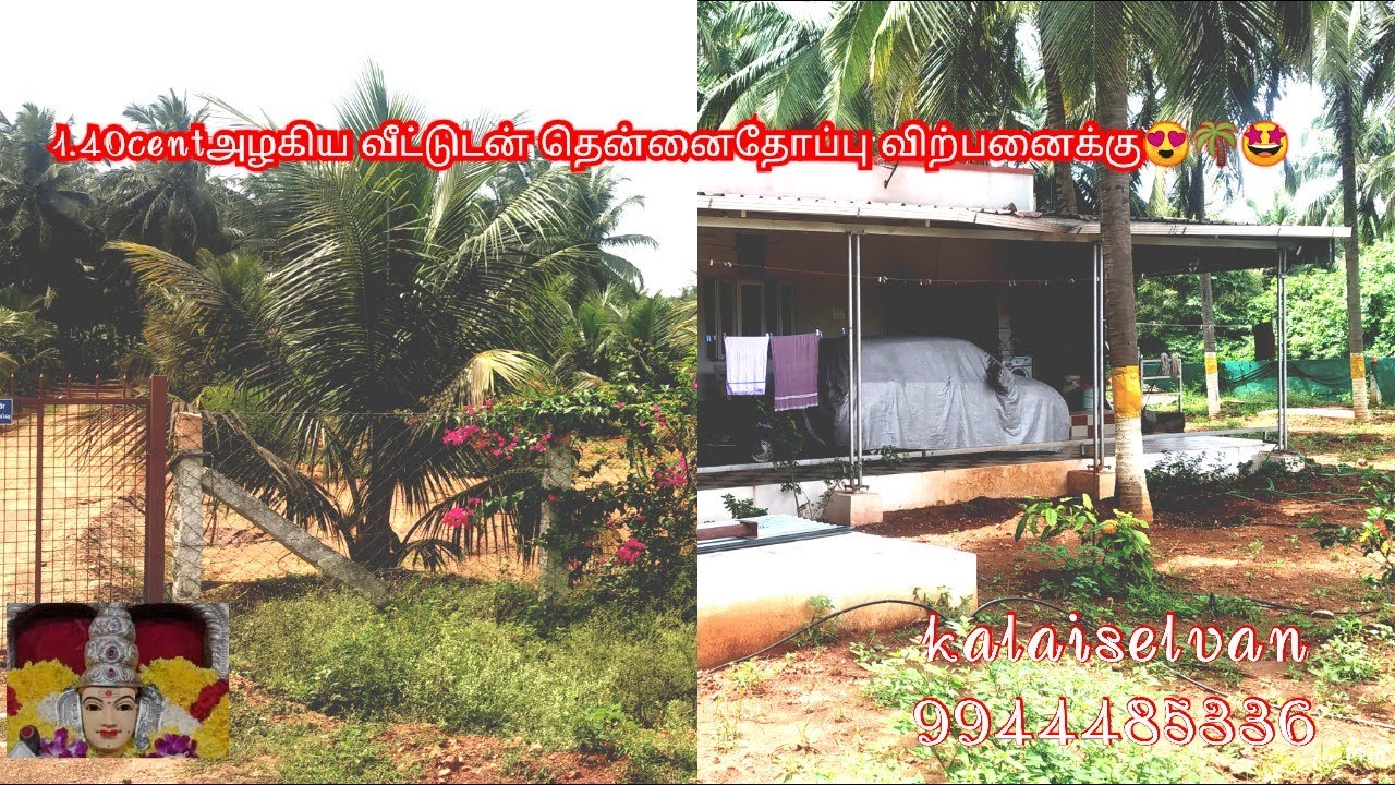 (sold out)(#19)kinathukadavu super formhouce land😍🌴1. 40 cent