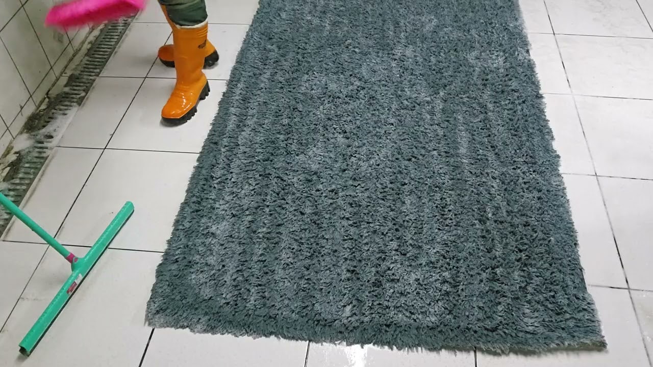 Clean carpet expert# lavado de alfombras # limpieza de alfombras 