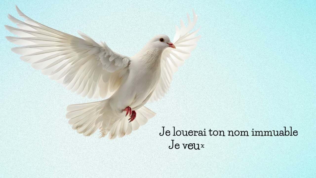 Je louerai ton nom immuable chanson chrétienne 
