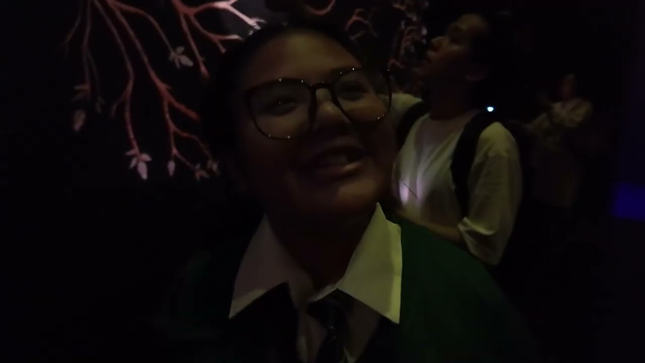 NAMANGHA LANG KAMI SA VISIONS OF MAGIC SA SINGAPORE