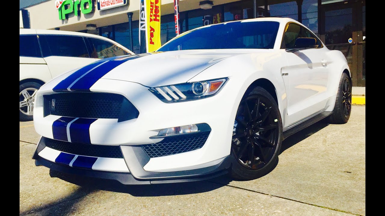 Buying The 2016 Ford Mustang Shelby GT350 Perhaps? AUTOMOHO VLOG #4