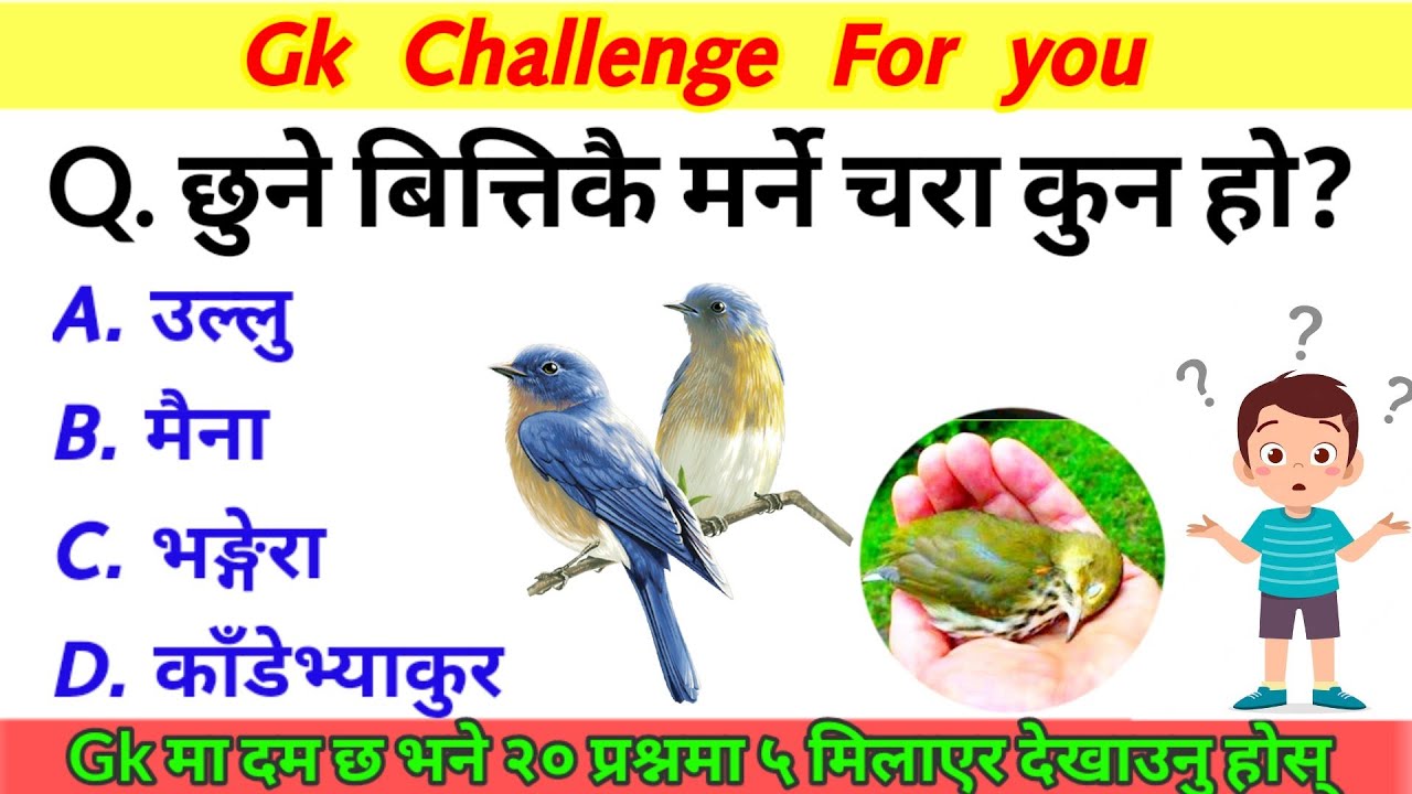 छुने बित्तिकै मर्ने चरा कुन हो | GK Questions and answers | Loksewa Tayari In Nepal | Loksewa Gyan