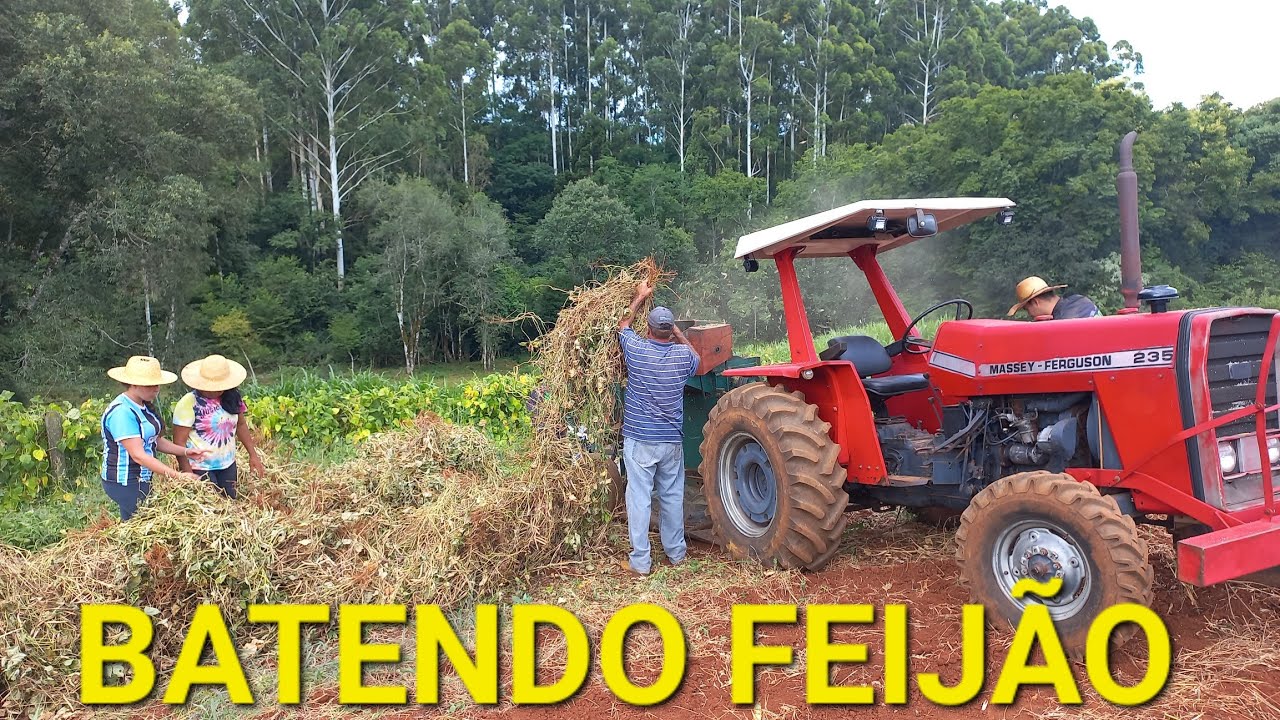 BATENDO FEIJÃO