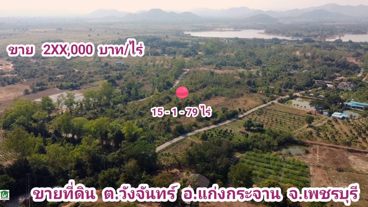 ขายที่ดินแก่งกระจาน เพชรบุรี ราคาถูก 15 ไร่ ติดถนนลาดยาง 3 ด้าน ไฟฟ้าประปาครบ ไร่ละ 2แสนกว่า