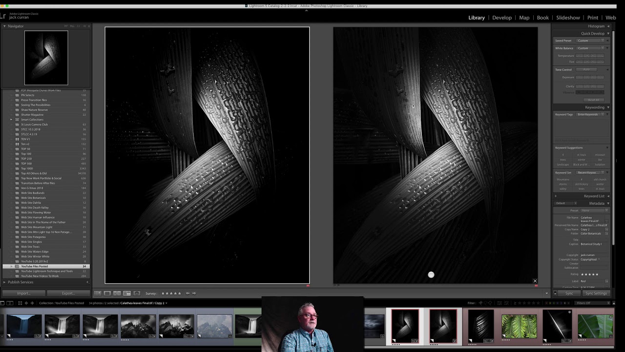 Botanicals - Simple Moves In Adobe Lightroom