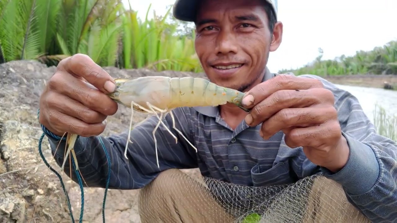 SEKALI KALI JALA IKAN DI KALI