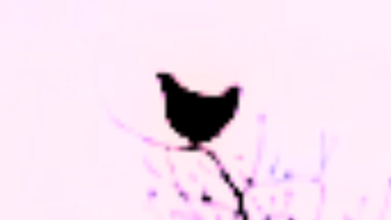 screaming chicken on tree but it broke sound barrier
