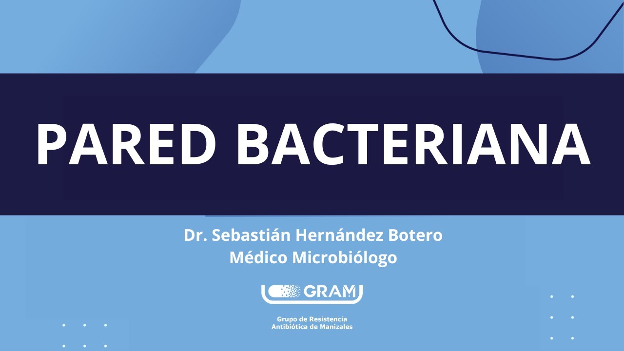 Pared Bacteriana