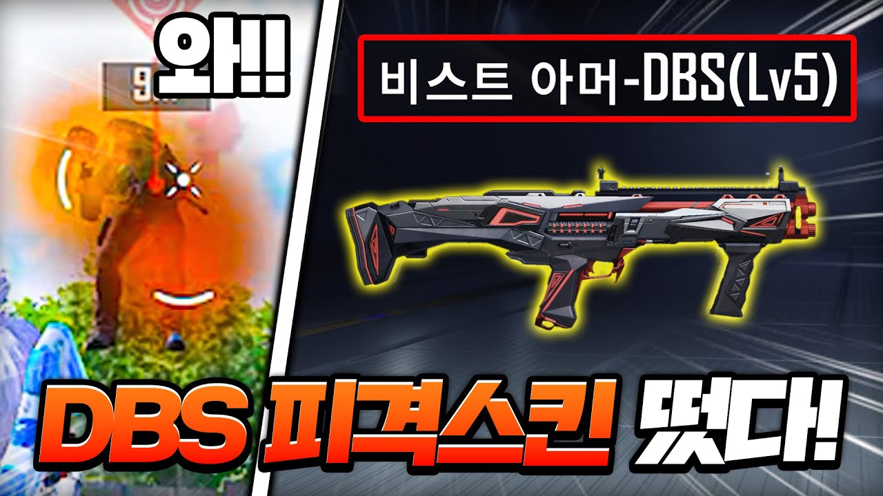 드디어 DBS 레벨업스킨 떴다!!! 이거 생각보다 2배는 더 잘보이는데요???