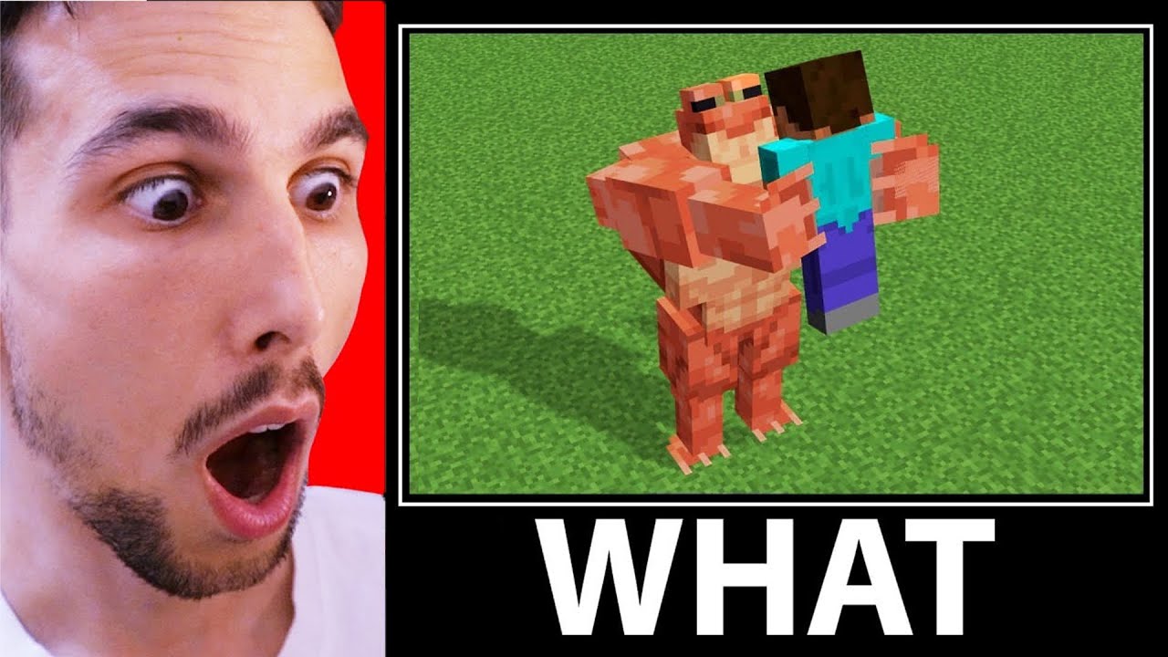 COSE CHE TI FARANNO DIRE IMPOSSIBILE su MINECRAFT!! (What meme 2)