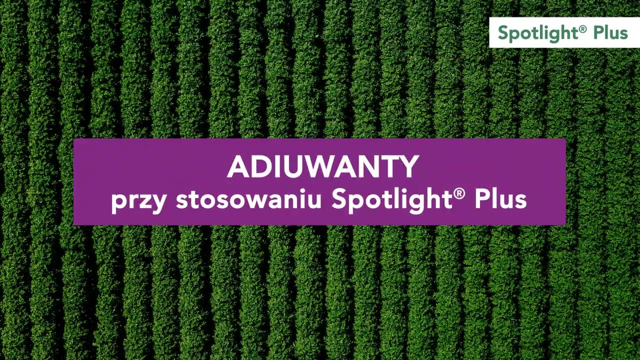 Spotlight® Plus - Jak stosować produkt?
