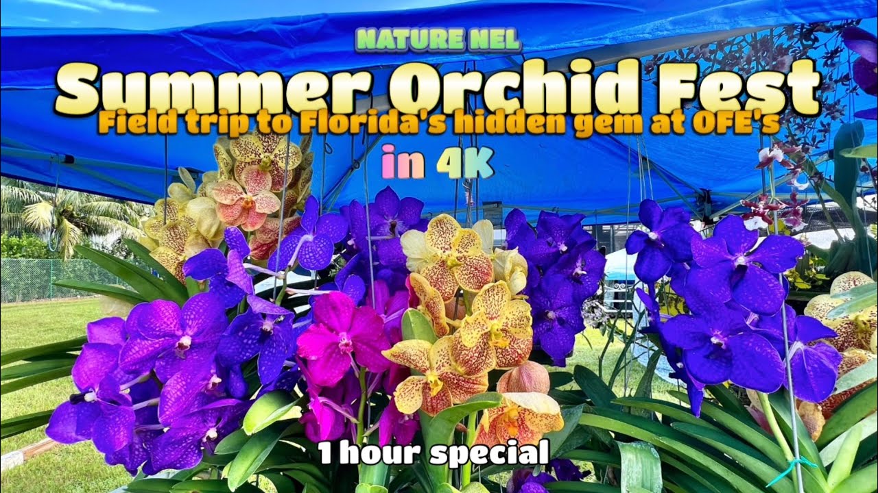 Orchids and plant show in the heart of Redland, FL. Join us on this beautiful day full of blooms.
