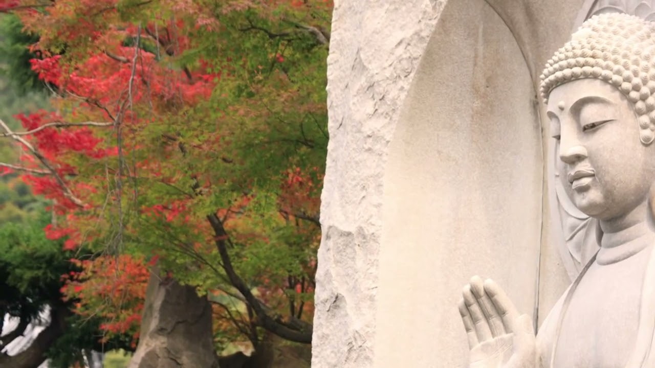 紅葉　念佛宗三寶山無量壽寺　The Buddhist Art of Nenbutsushu Sampozan Muryojuji Temple in autumn