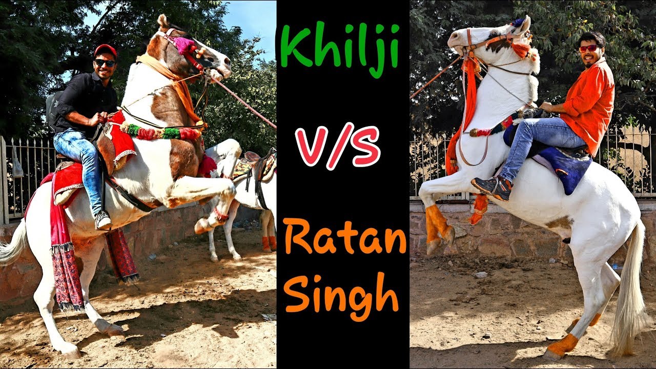 Chittorgarh Fort | The Original Palace of Rani Padmavati | Baroda To Chittor