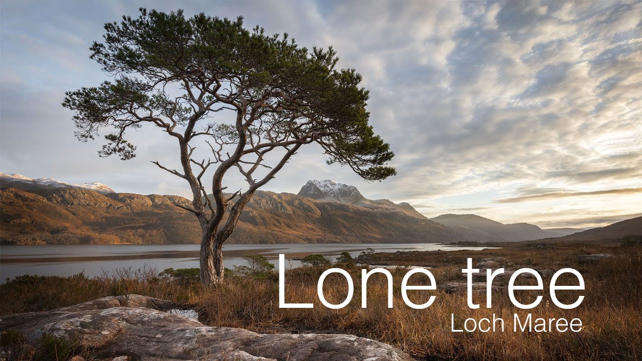 Photographing a lone tree at Loch Maree