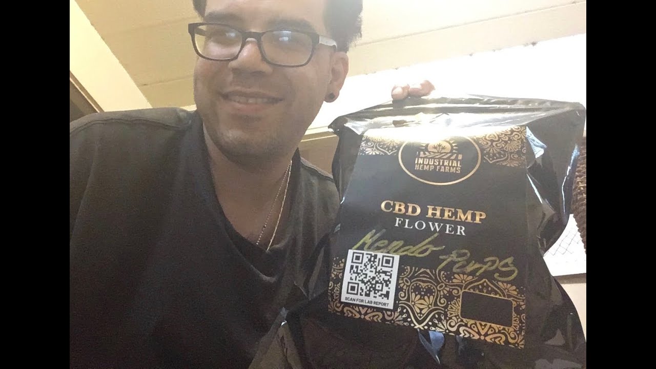 Strain review: Mendocino Purps!  Industrial Hemp Farms 🔥