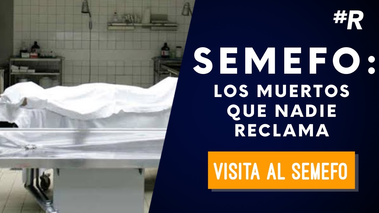 SEMEFO: Lo que realmente ocurre ah&iacute;