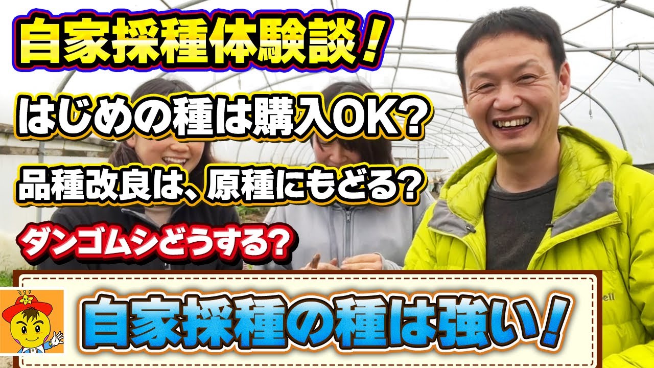 【自然栽培223】自家採種は凄いよ！ダンゴムシどうする？品種改良は原種にもどる？