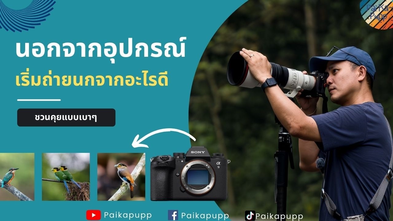 เริ่มถ่ายนก นอกจากอุปกรณ์ เริ่มจากอะไรดี - ไป กะ ปั๊ป