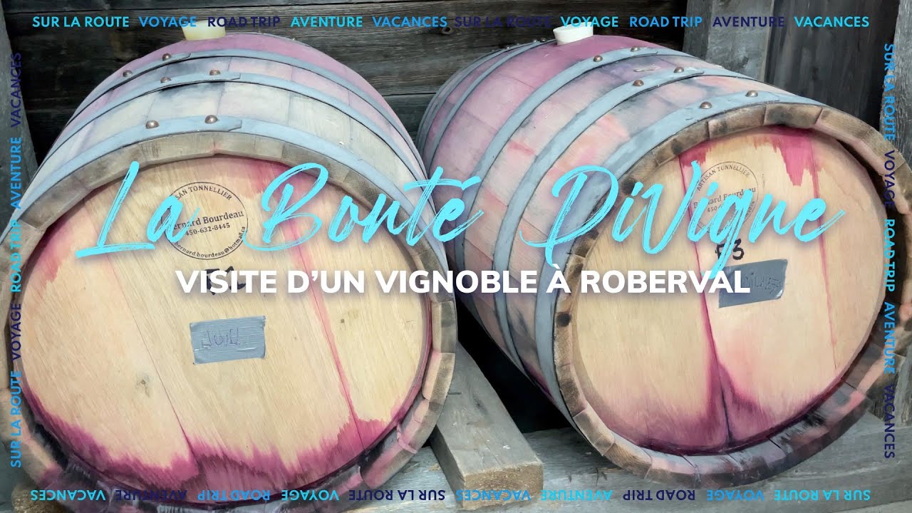 Vignoble La Bont&eacute; Divigne &agrave; Roberval