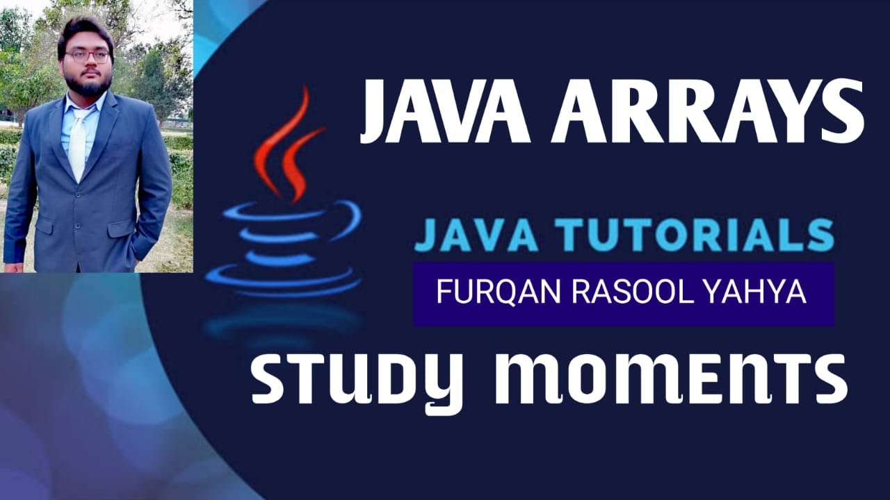 Using Arrays in Java OOP | Array Input and Enchanced For Loops With Arrays | Study moments